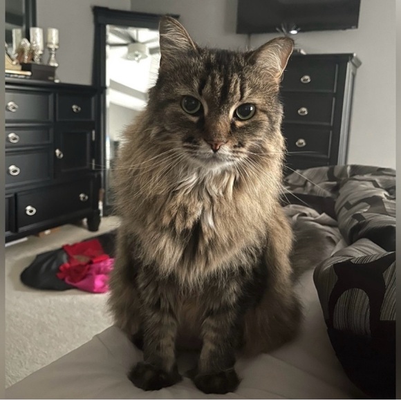 Light Pink Express Cut Out Jumpsuit - Picture 11 of 11